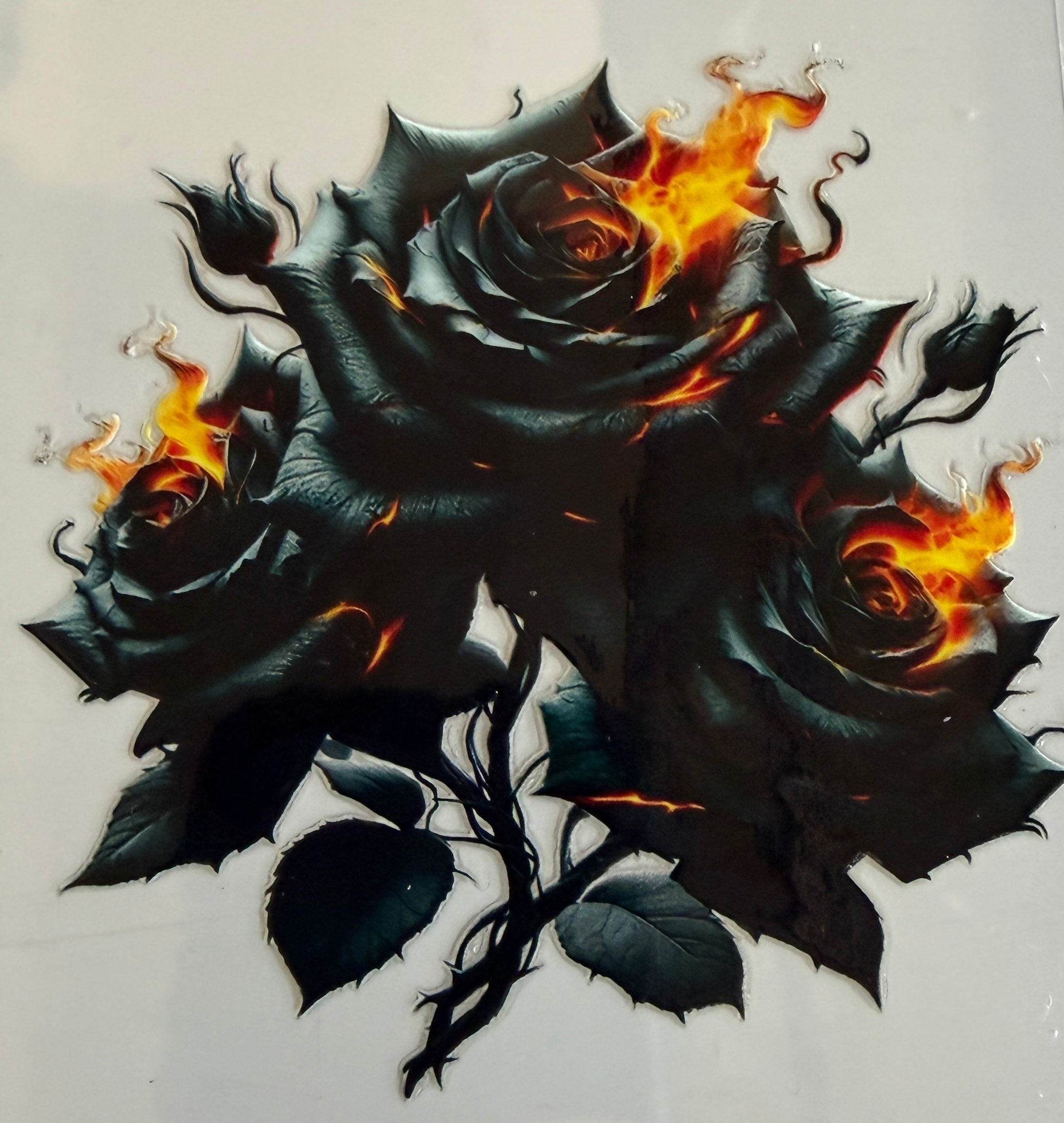 D-54 Black Roses
