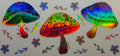 H17 Mushrooms