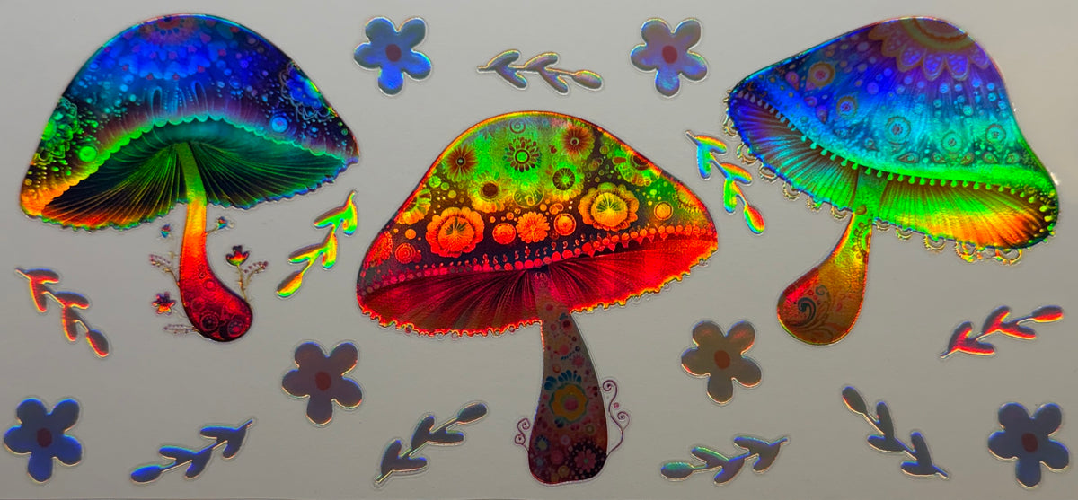 H17 Mushrooms