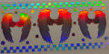 H19 Wings