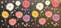 16W9 Flowers
