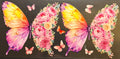 16W30 Butterflies