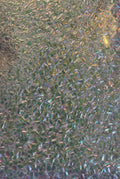 GLA-33 Silver Bubble Glitter