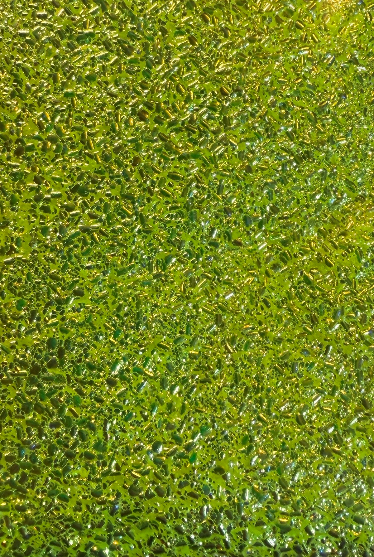 GLA-24 Lime Green Bubble Glitter