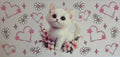 16W83 Floral Kitten