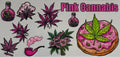 16W97 Pink Cannabis