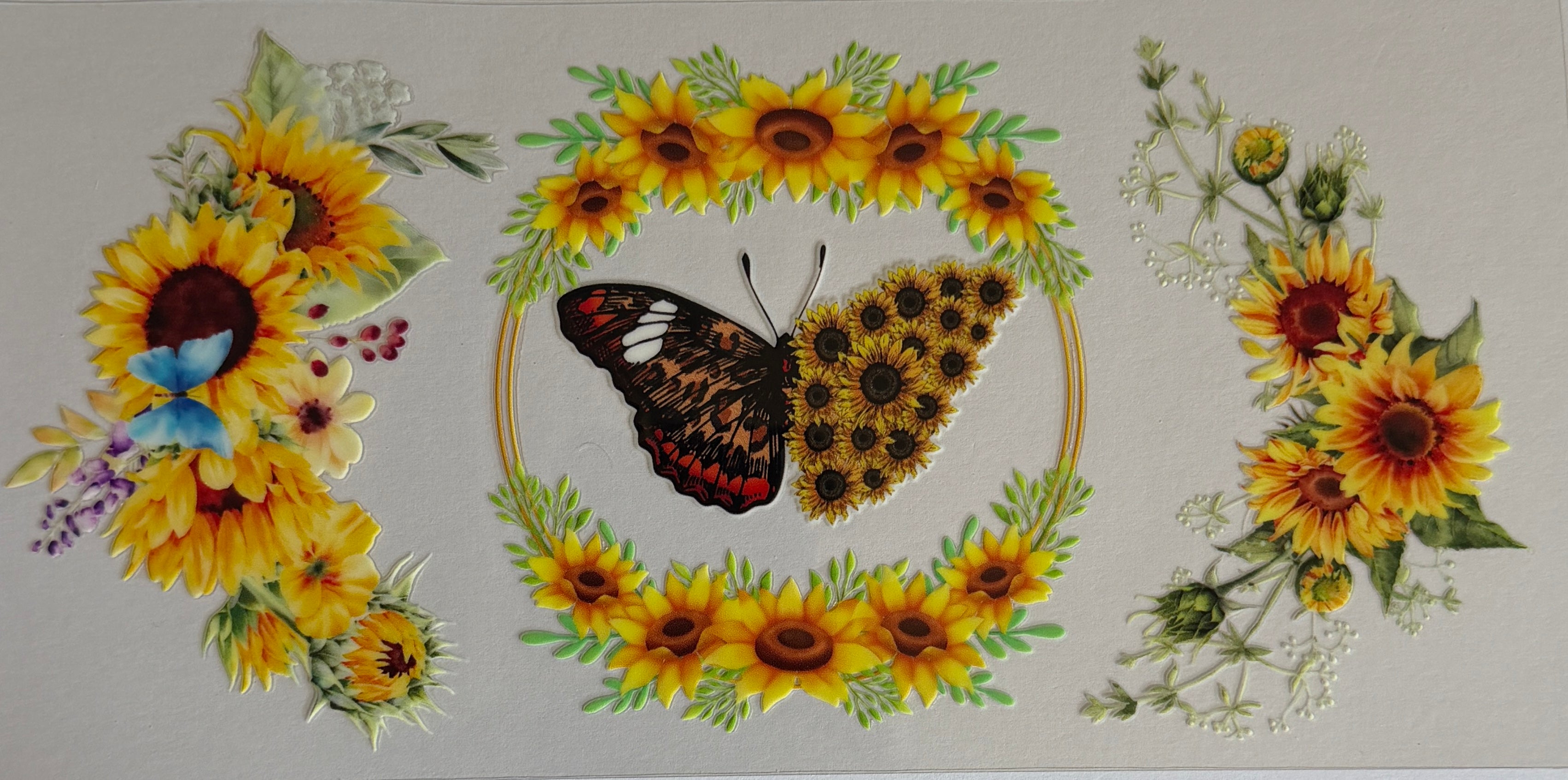 16W103 Sunflower Butterfly