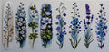 16W169 Blue & Purple Wildflowers
