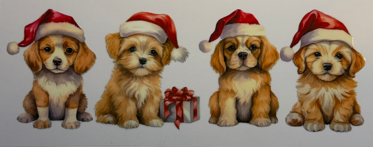 16W196 Christmas Puppies in Santa Hats