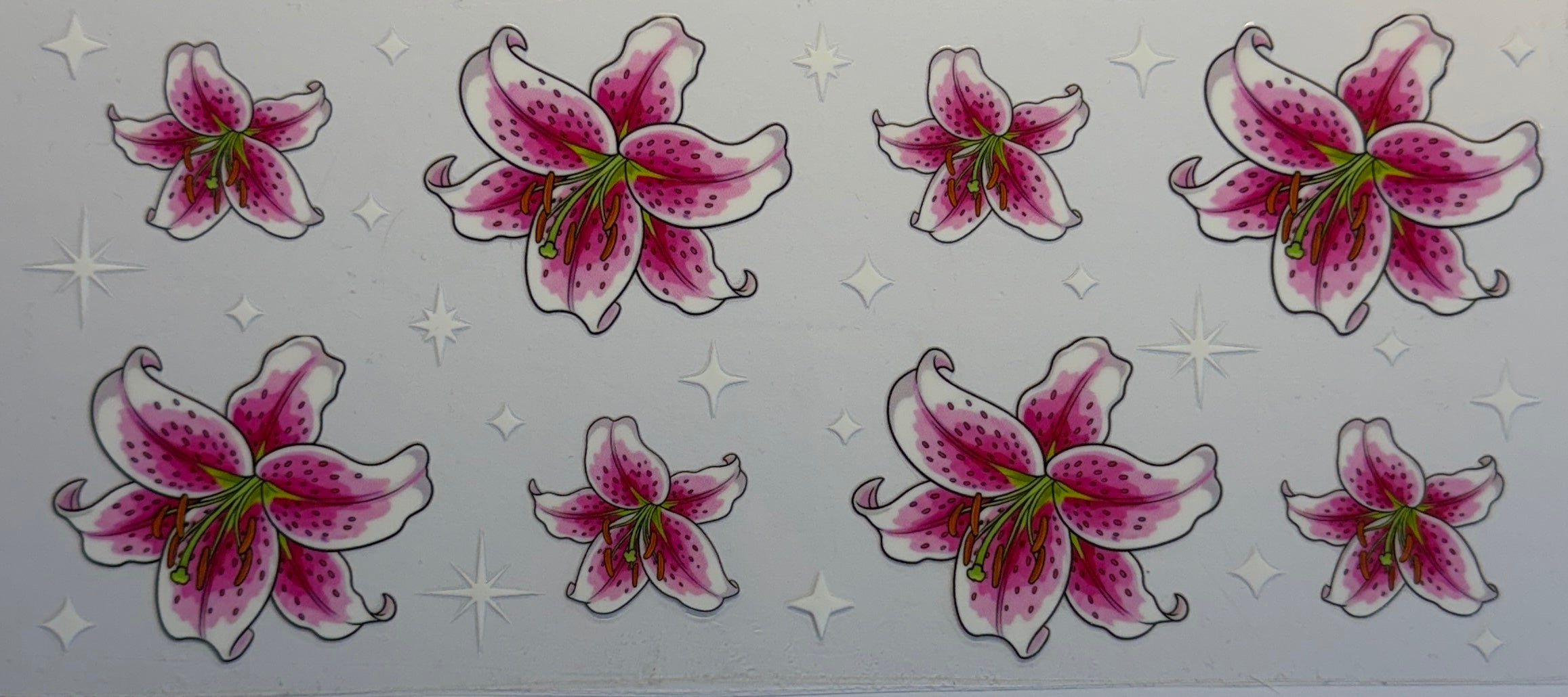 16W211 Pink Stargazer Lilies