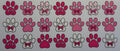 16W212 Pink Paw Prints & Bows