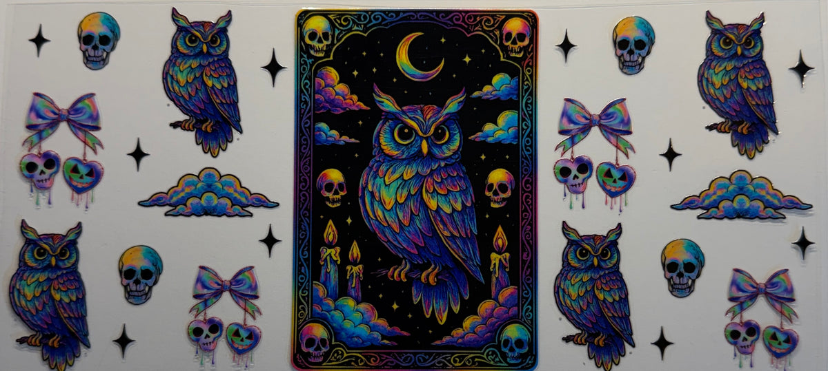 16W238 Colorful Celestial Owls