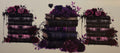 16W242 Gothic Books & Roses