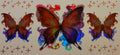 H43 Holographic Midnight Butterflies