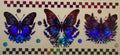 H47 Holographic Blue Butterflies & Florals