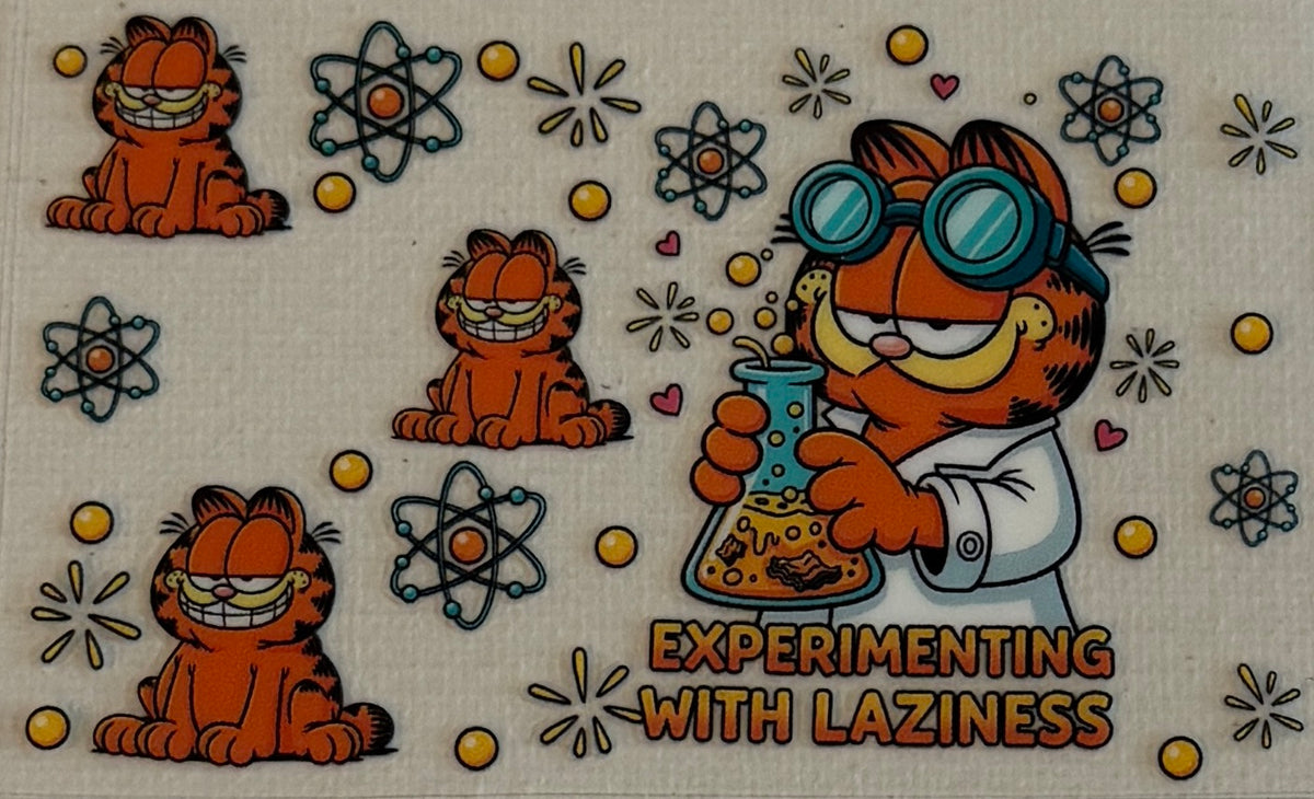 CC60 Experimenting With Laziness Orange Cat