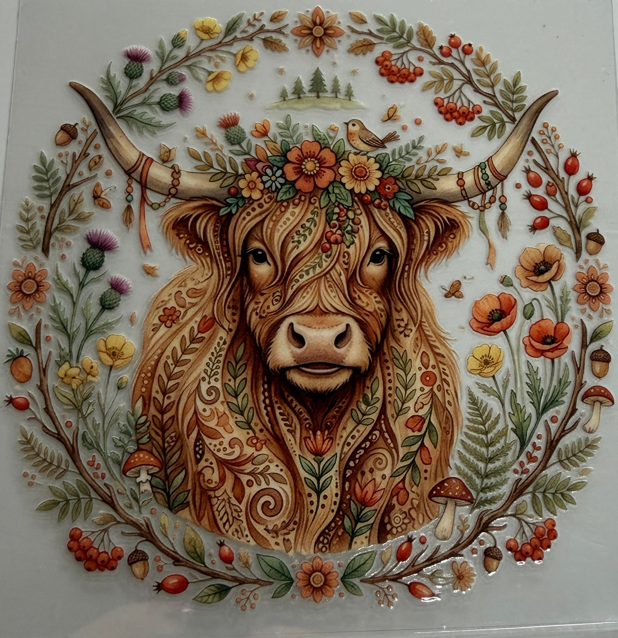 A5 UV DTF DECAL COW